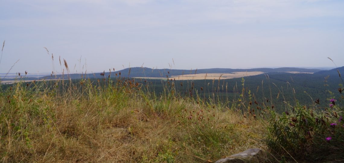 Ausblick am Regenstein – Blankenburg, Harz