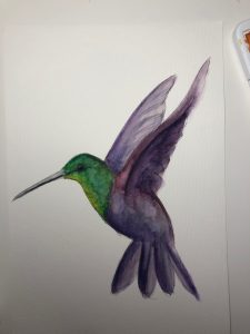 Der Kolibri in Aquarell